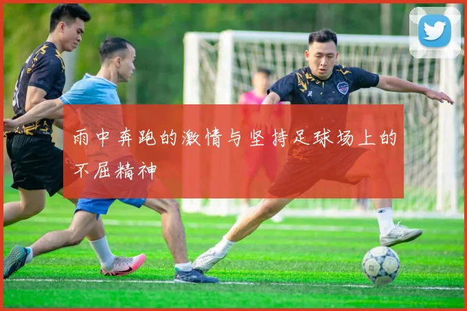 雨中奔跑的激情与坚持足球场上的不屈精神