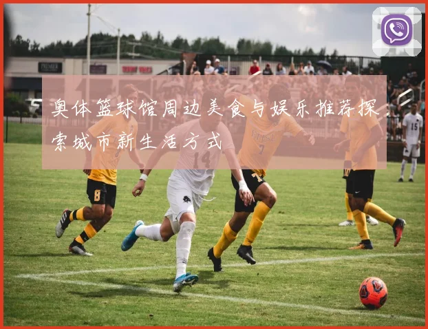 奥体篮球馆周边美食与娱乐推荐探索城市新生活方式