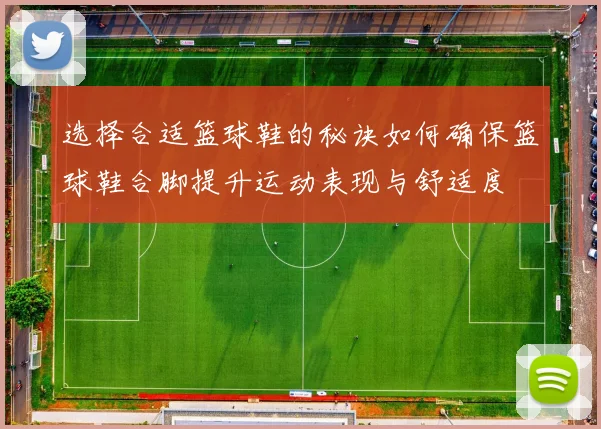 选择合适篮球鞋的秘诀如何确保篮球鞋合脚提升运动表现与舒适度