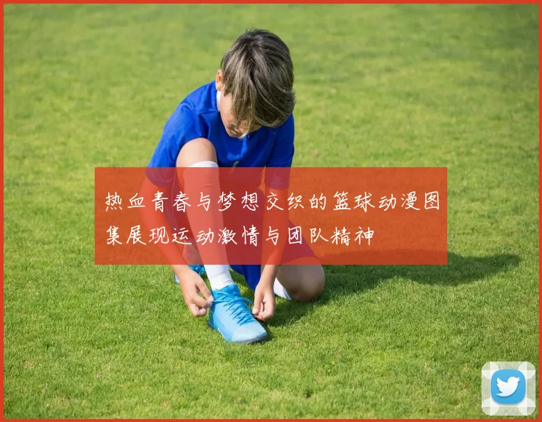 热血青春与梦想交织的篮球动漫图集展现运动激情与团队精神