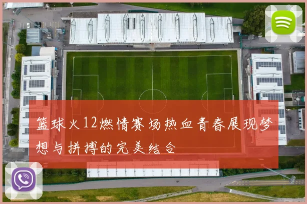 篮球火12燃情赛场热血青春展现梦想与拼搏的完美结合