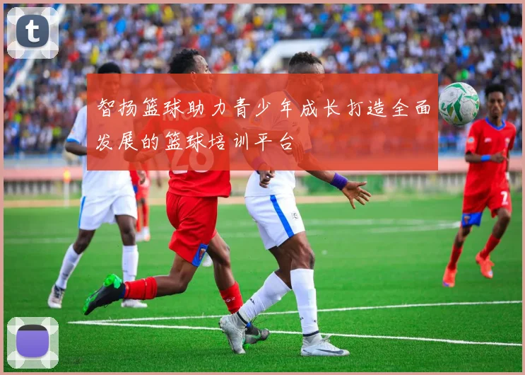 智扬篮球助力青少年成长打造全面发展的篮球培训平台