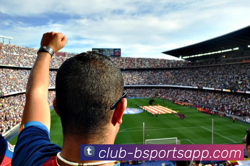 B体育官网APP 封面图